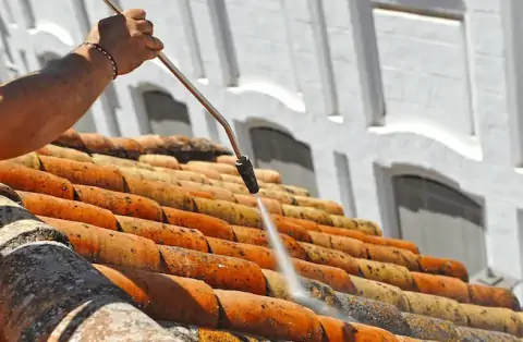 Démoussage de toiture à Charron